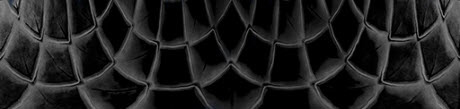 metal2_34