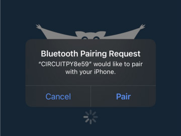 app_19