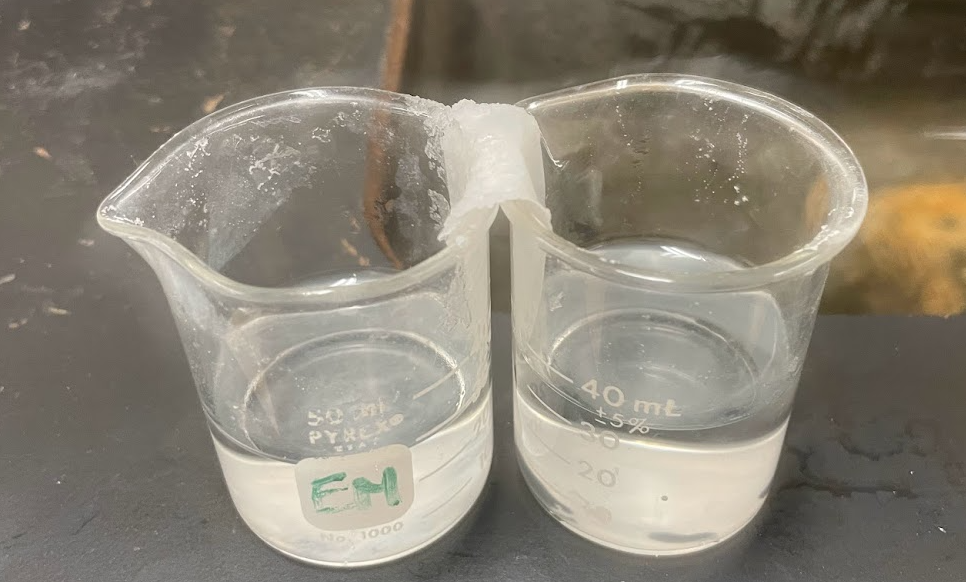 Filter Paper